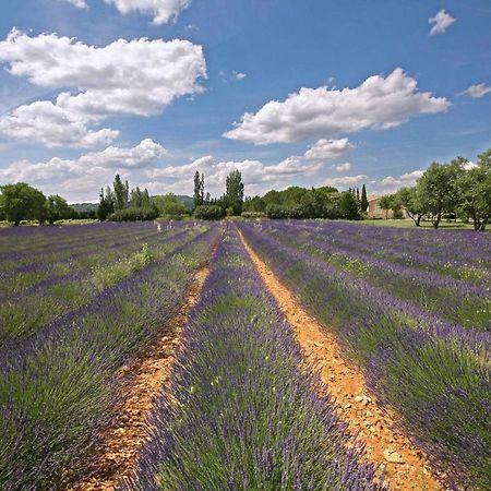 B&B Dans Mas En Pierres Robion en Luberon 외부 사진
